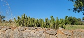 Enlarge photo 382