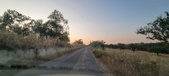 Enlarge photo 477