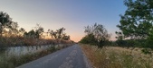 Enlarge photo 475
