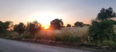 Enlarge photo 493
