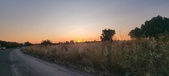 Enlarge photo 497