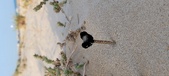 Enlarge photo 26