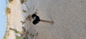 Enlarge photo 28