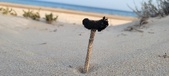 Enlarge photo 33