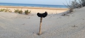 Enlarge photo 34