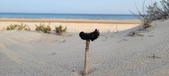 Enlarge photo 35