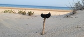 Enlarge photo 36