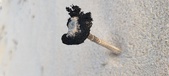 Enlarge photo 38