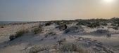Enlarge photo 39