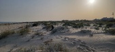 Enlarge photo 40
