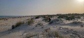 Enlarge photo 41