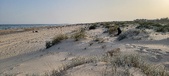 Enlarge photo 42