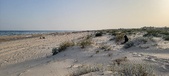 Enlarge photo 43