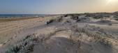 Enlarge photo 44