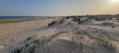 Enlarge photo 45
