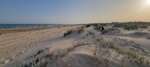 Enlarge photo 46
