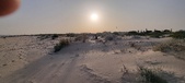 Enlarge photo 47