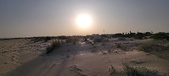 Enlarge photo 48
