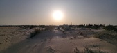 Enlarge photo 51