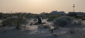 Enlarge photo 53