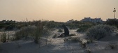 Enlarge photo 55