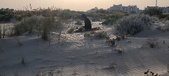 Enlarge photo 56
