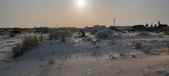 Enlarge photo 58