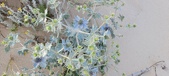 Enlarge photo 65