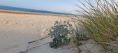 Enlarge photo 66