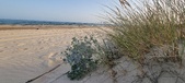Enlarge photo 67