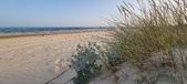 Enlarge photo 68