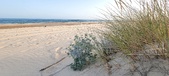 Enlarge photo 69