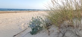 Enlarge photo 70