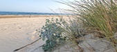 Enlarge photo 71