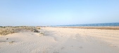 Enlarge photo 72