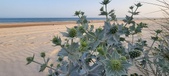 Enlarge photo 73