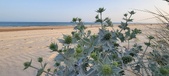 Enlarge photo 74