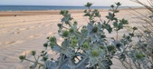 Enlarge photo 82