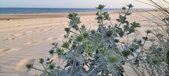 Enlarge photo 83