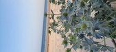 Enlarge photo 87
