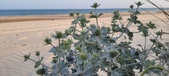 Enlarge photo 90