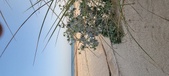 Enlarge photo 92