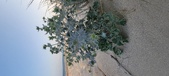 Enlarge photo 94