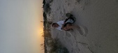 Enlarge photo 97