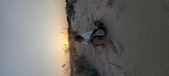 Enlarge photo 106