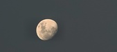 Enlarge photo 111