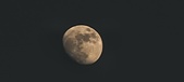 Enlarge photo 117