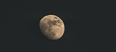 Enlarge photo 118