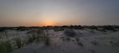 Enlarge photo 121