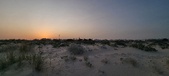 Enlarge photo 124